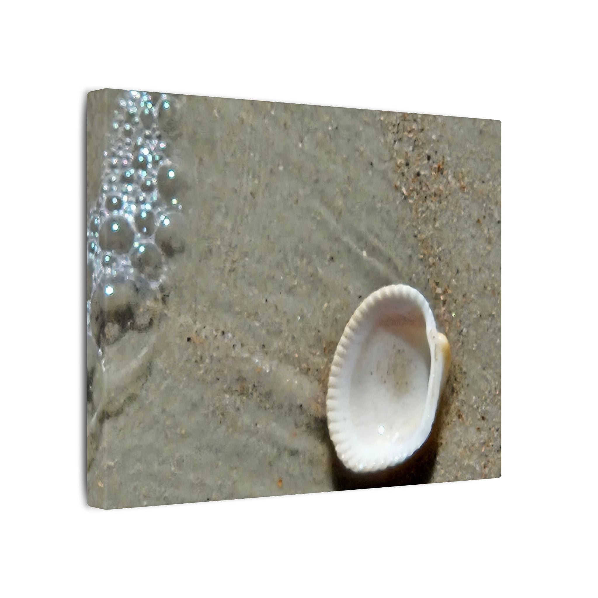 Seashell on Sand Matte Canvas Wall Art — Coastal Beach Photography Print