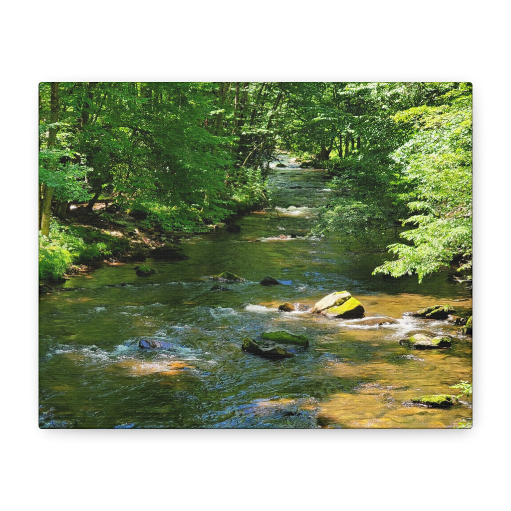 Forest Stream Matte Canvas Wall Art — Stretched 1.25" Nature Print