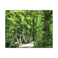 Forest Bridge Canvas Wall Art — Green Woodland Trail Photography