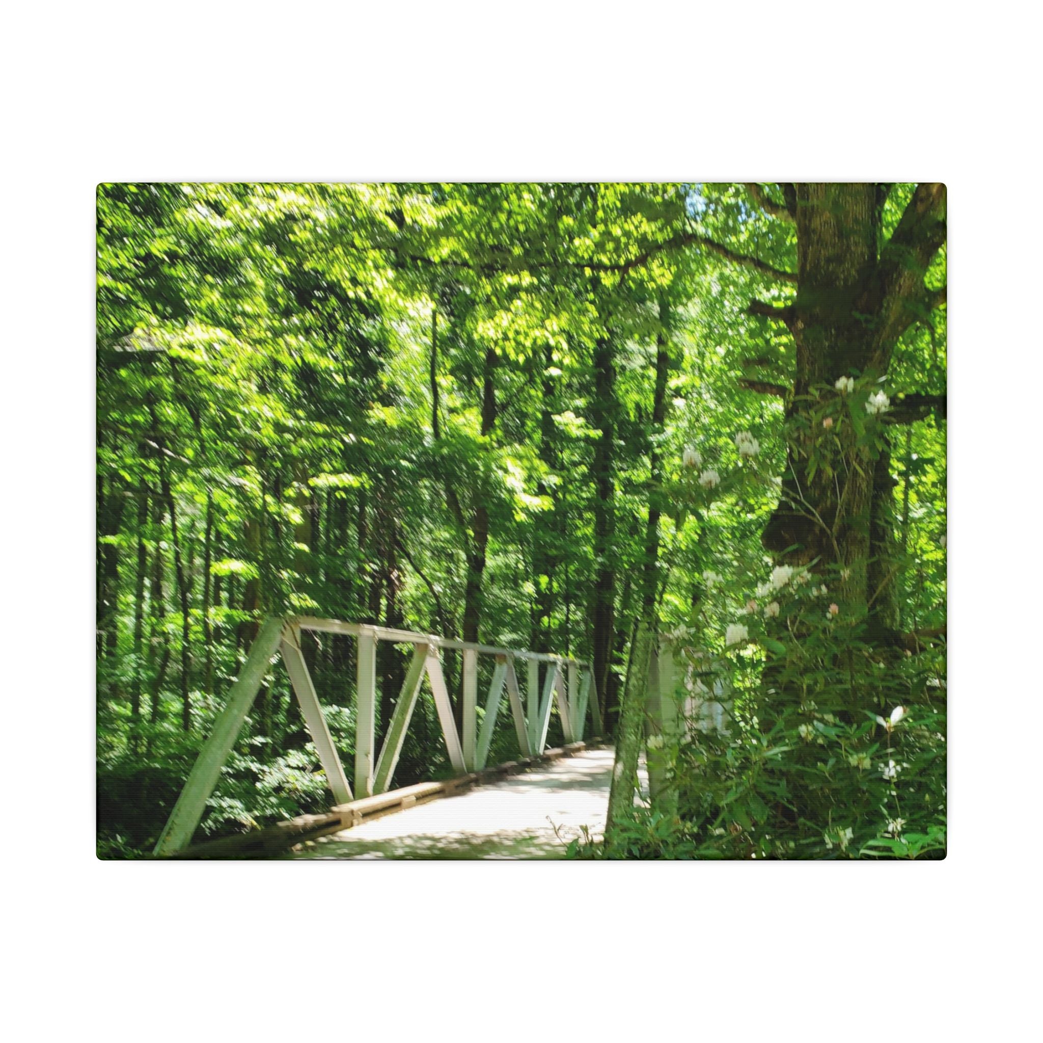Forest Bridge Canvas Wall Art — Green Woodland Trail Photography