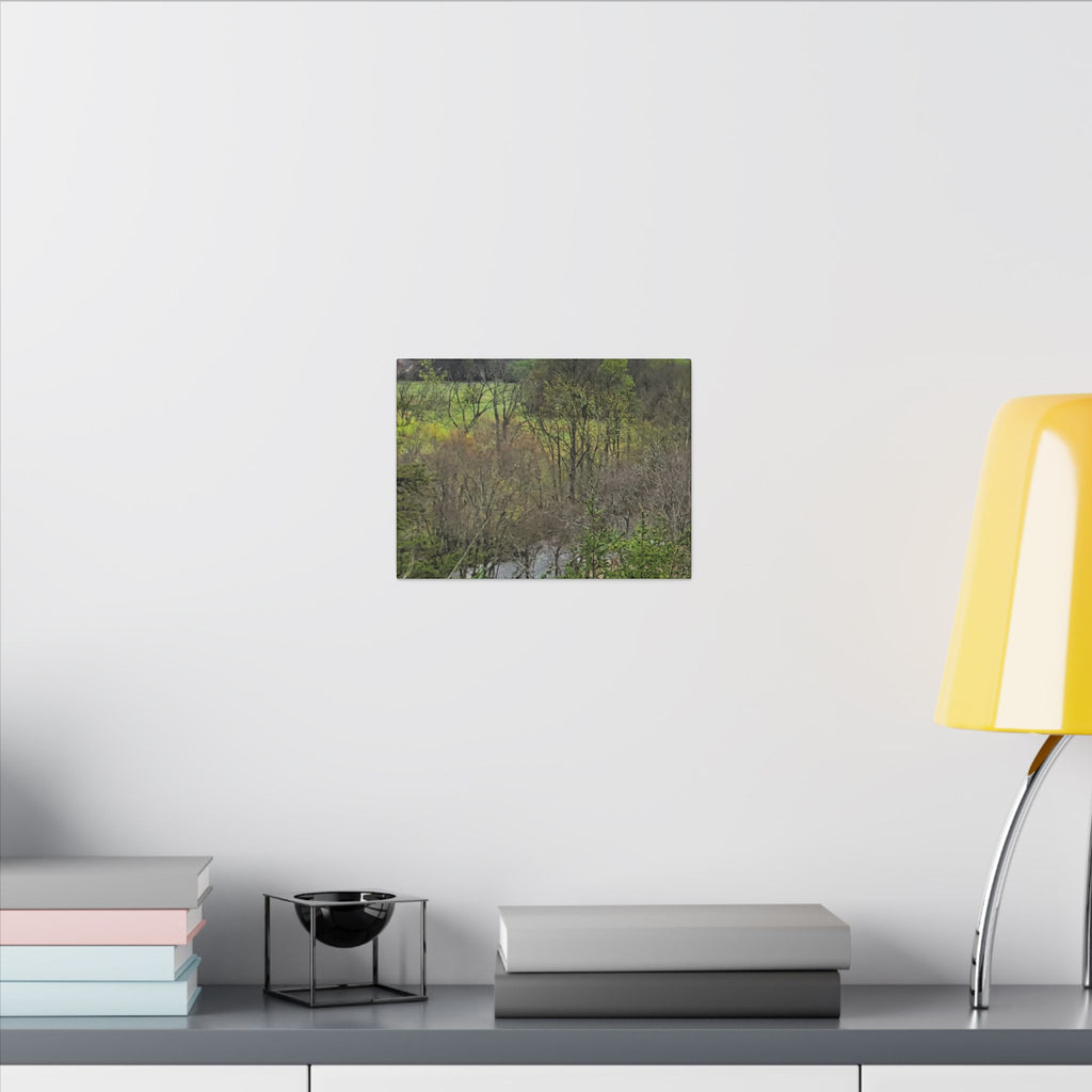 Matte Stretched Canvas Wall Art - Serene Green Woodland Landscape