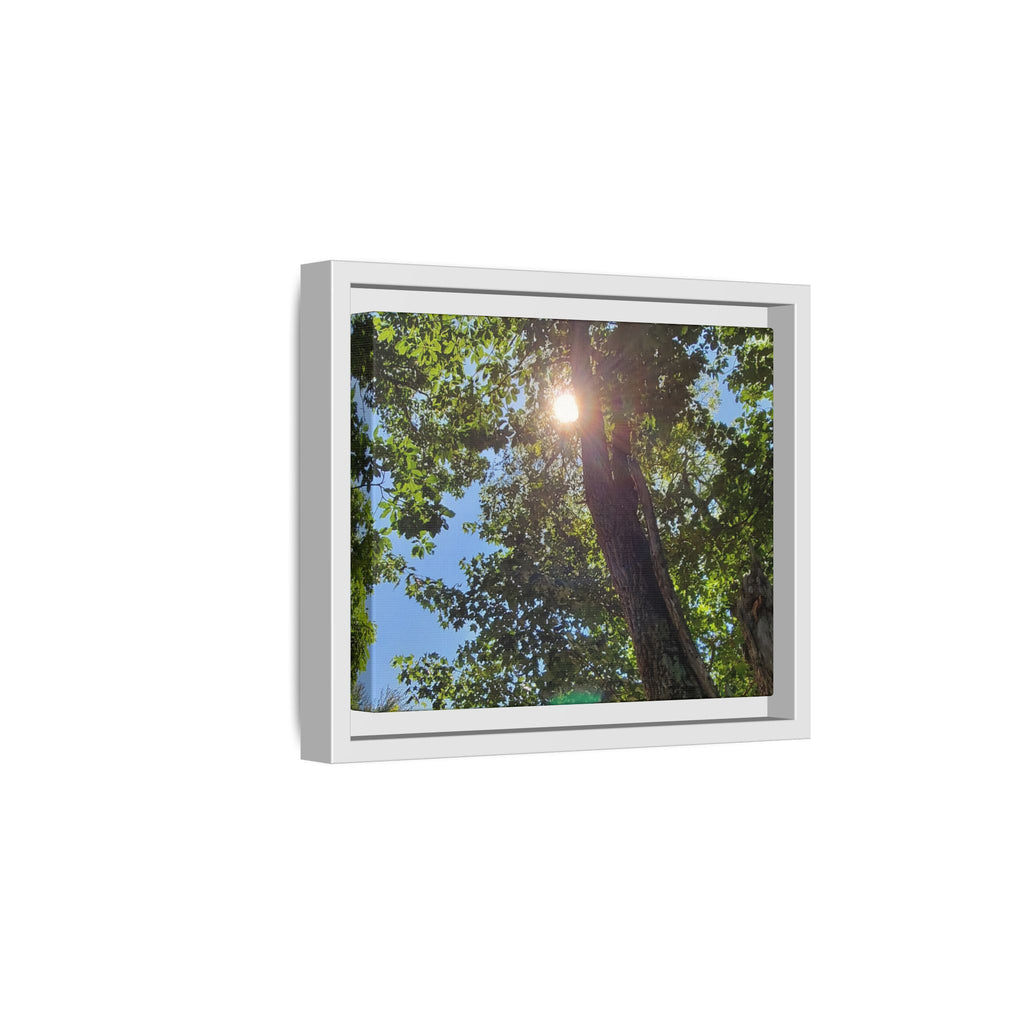 Sunlit Tree Canopy Matte Framed Canvas