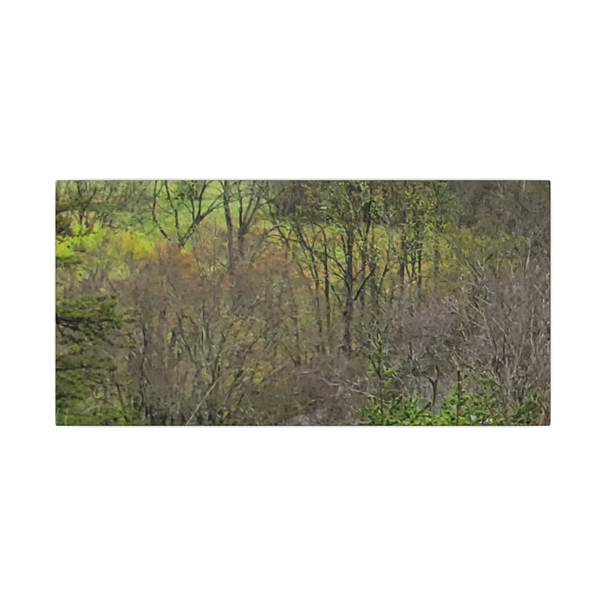 Matte Stretched Canvas Wall Art - Serene Green Woodland Landscape