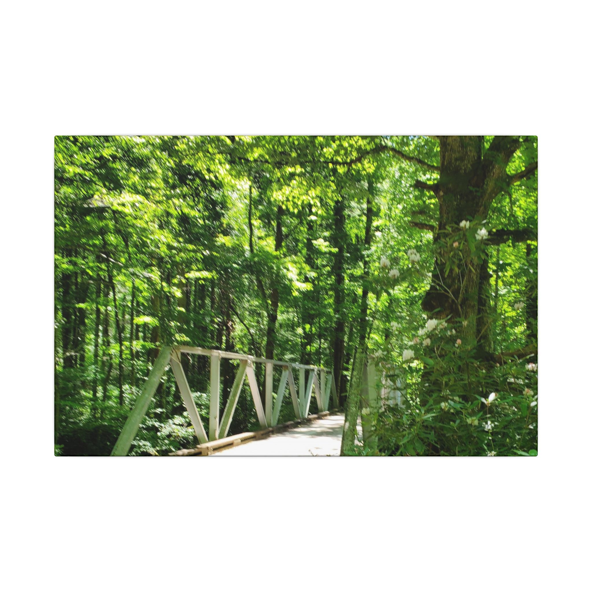 Forest Bridge Canvas Wall Art — Green Woodland Trail Photography