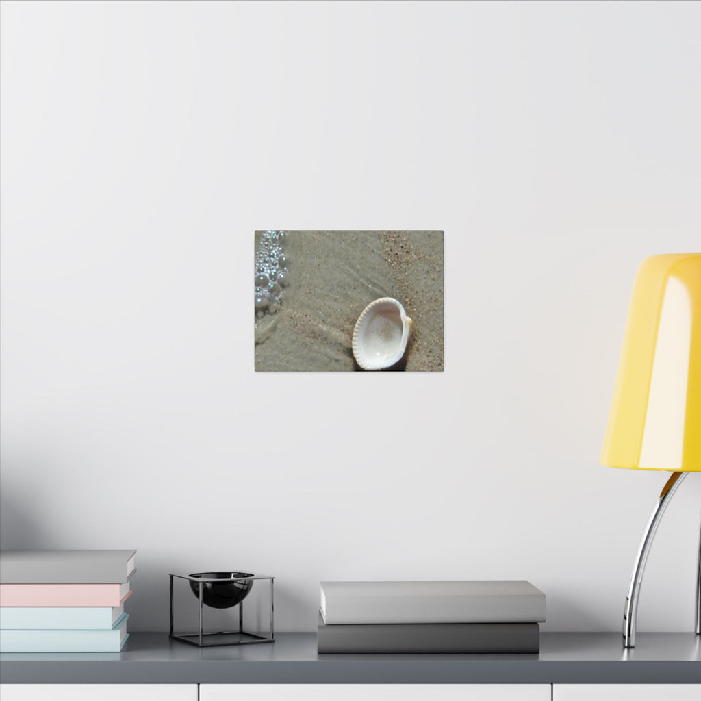 Seashell on Sand Matte Canvas Wall Art — Coastal Beach Photography Print
