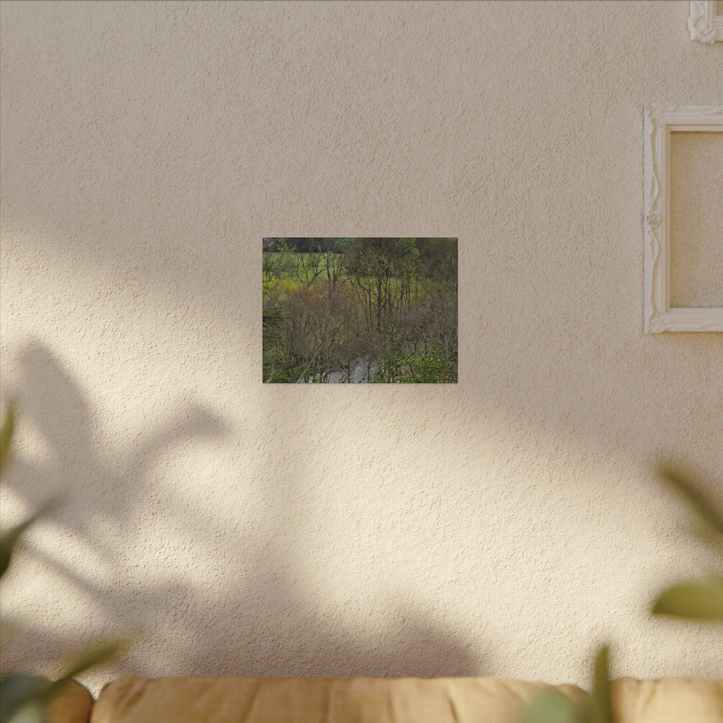 Matte Stretched Canvas Wall Art - Serene Green Woodland Landscape