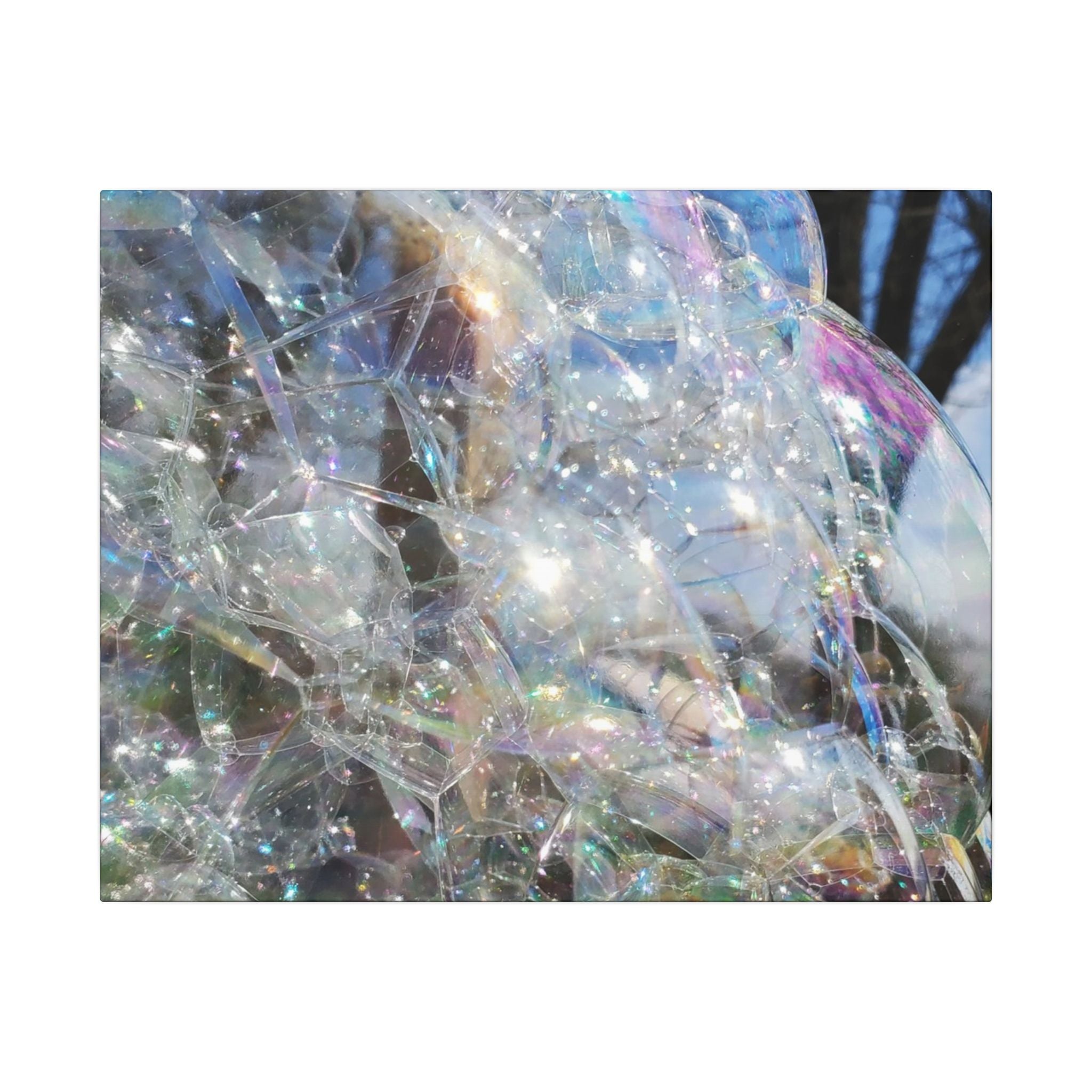 Iridescent Bubble Abstract Matte Canvas Wall Art