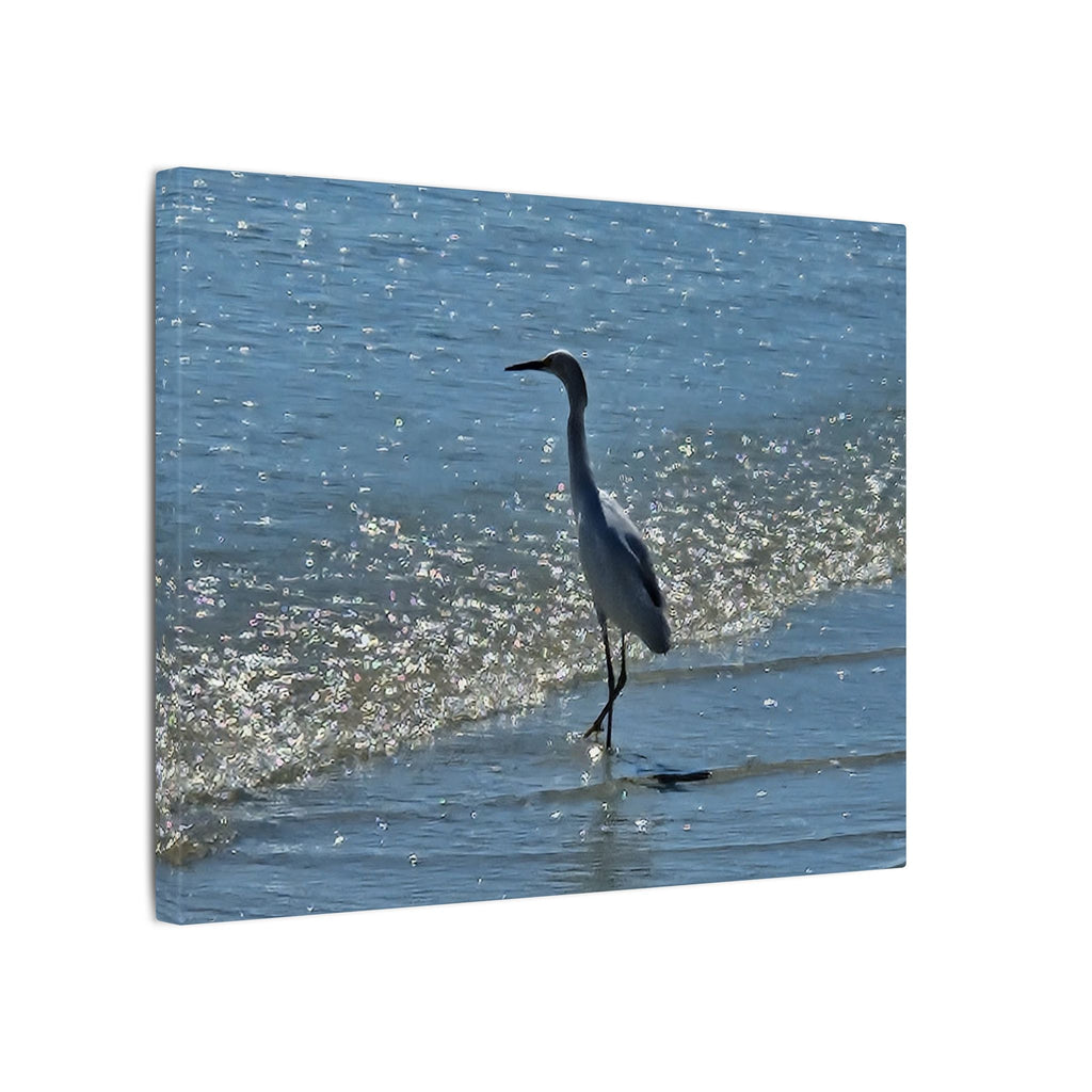 Egret on Shore Matte Stretched Canvas — Coastal Bird Wall Art
