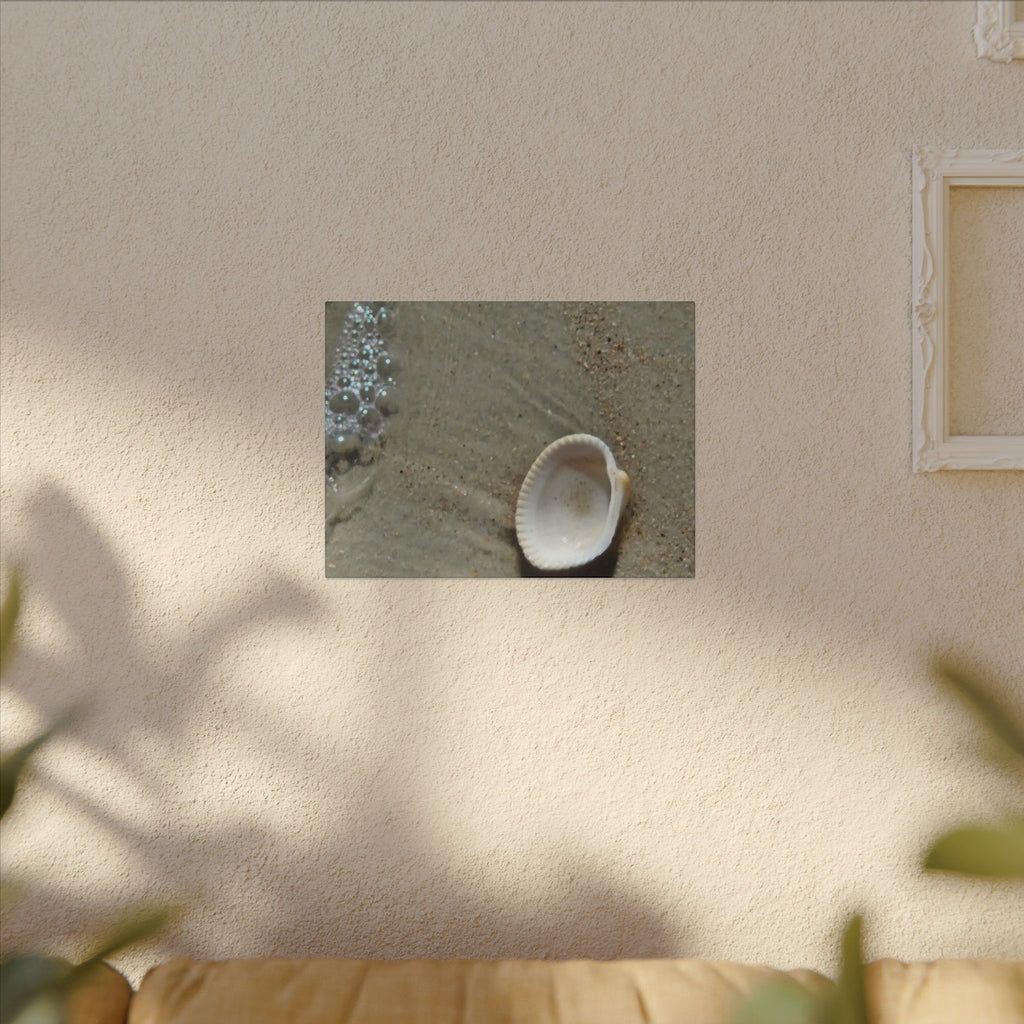 Seashell on Sand Matte Canvas Wall Art — Coastal Beach Photography Print