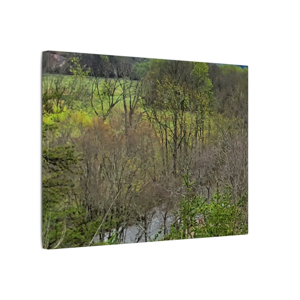 Matte Stretched Canvas Wall Art - Serene Green Woodland Landscape