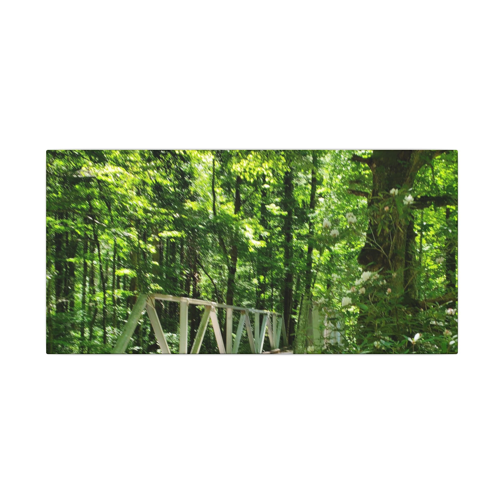 Forest Bridge Canvas Wall Art — Green Woodland Trail Photography