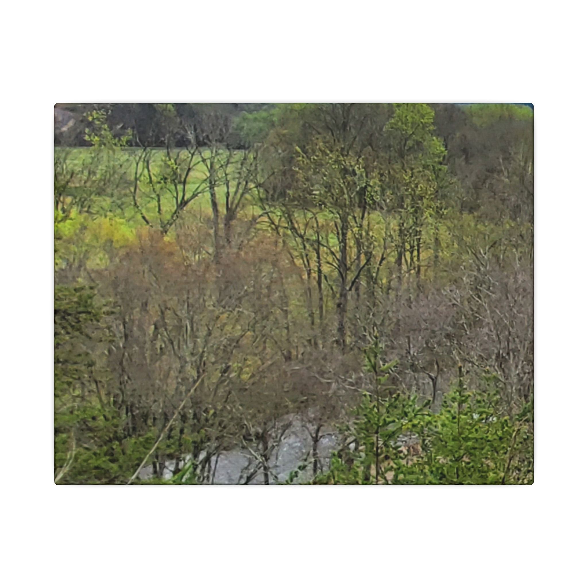 Matte Stretched Canvas Wall Art - Serene Green Woodland Landscape