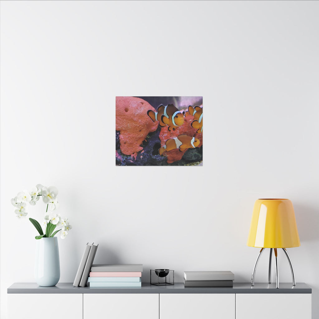 Clownfish Reef Matte Canvas Wall Art — Vibrant Ocean Photography Print