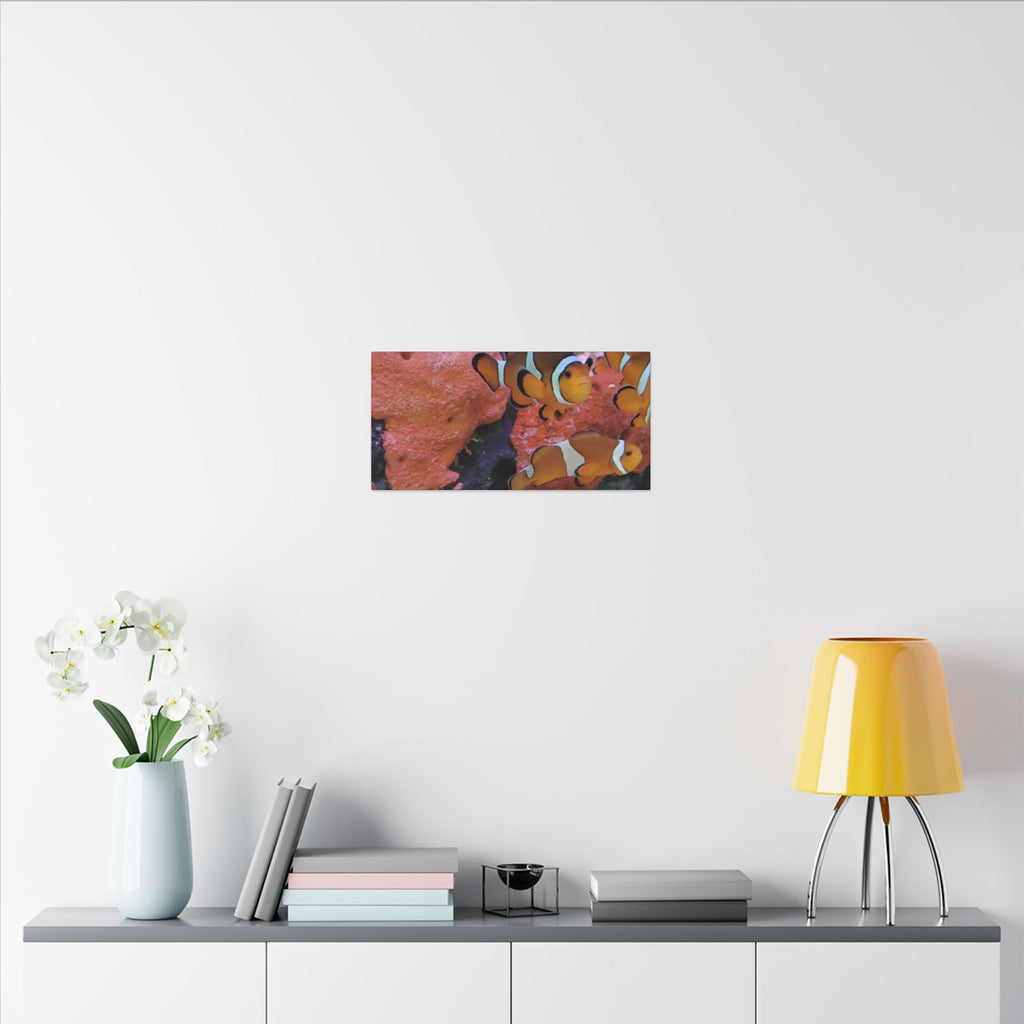 Clownfish Reef Matte Canvas Wall Art — Vibrant Ocean Photography Print