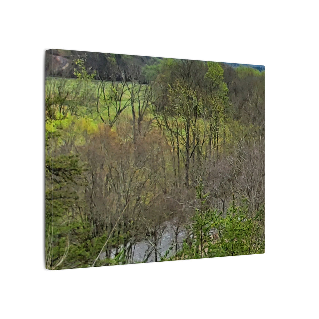 Matte Stretched Canvas Wall Art - Serene Green Woodland Landscape