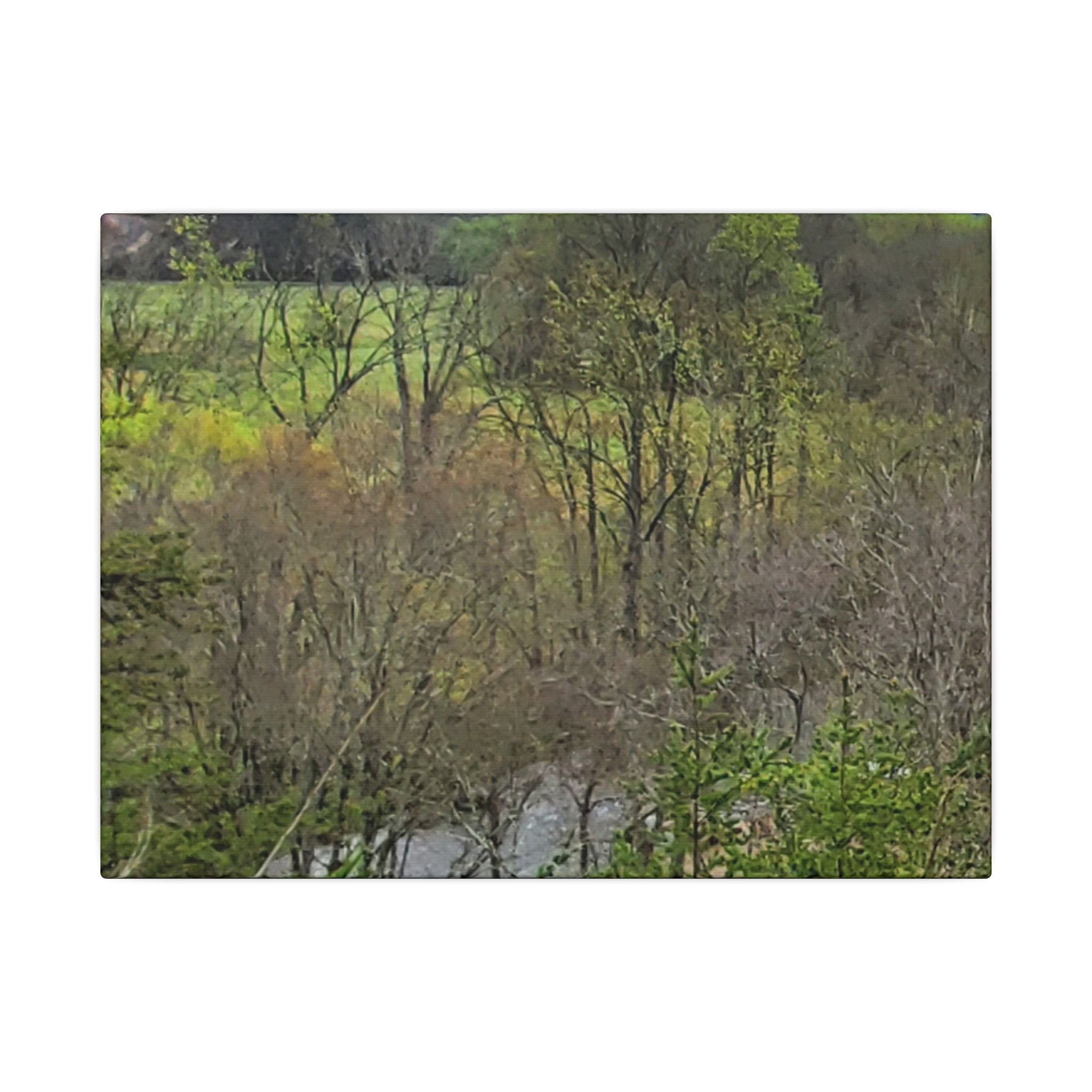 Matte Stretched Canvas Wall Art - Serene Green Woodland Landscape