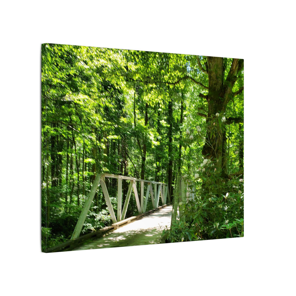 Forest Bridge Canvas Wall Art — Green Woodland Trail Photography