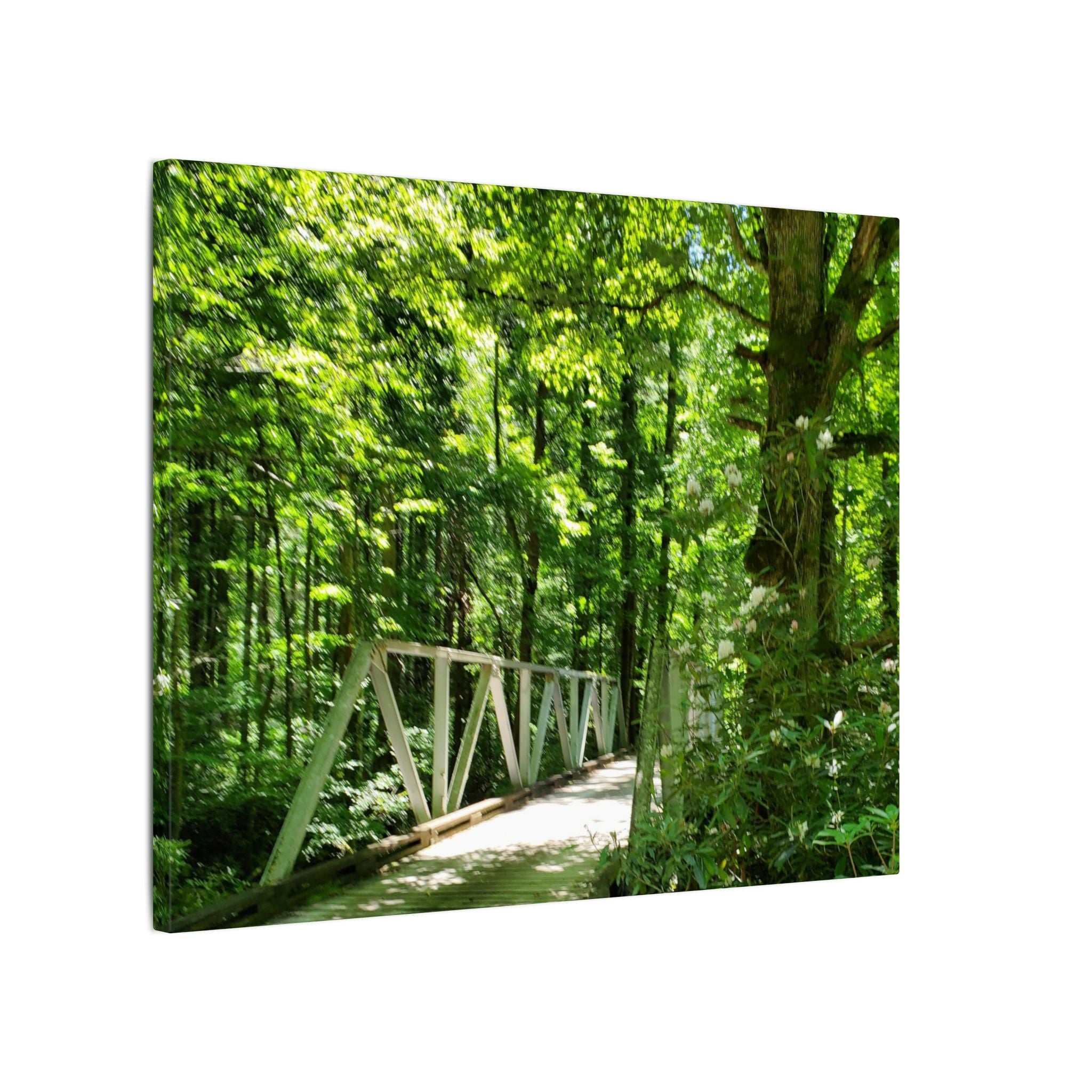 Forest Bridge Canvas Wall Art — Green Woodland Trail Photography
