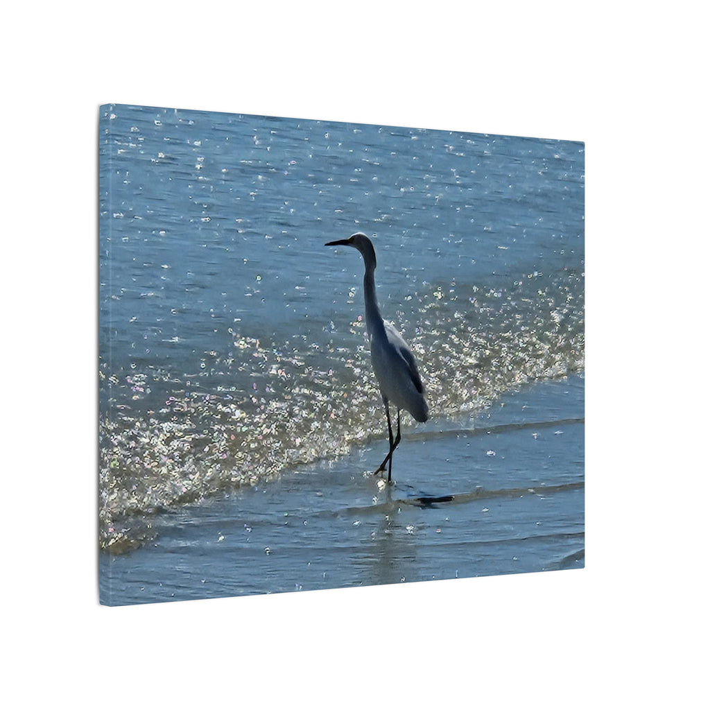 Egret on Shore Matte Stretched Canvas — Coastal Bird Wall Art