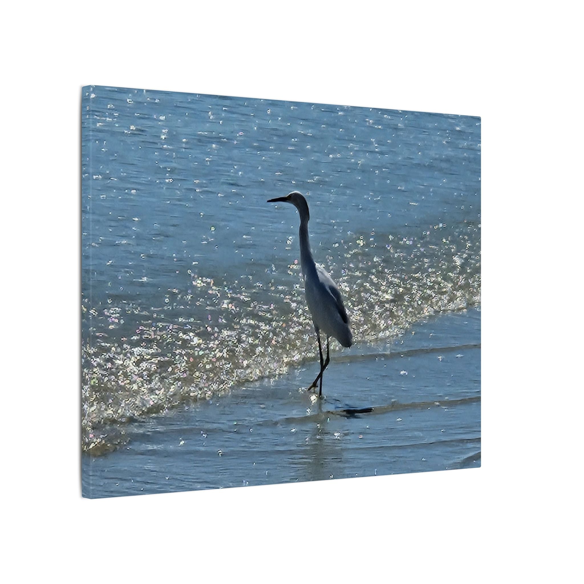 Egret on Shore Matte Stretched Canvas — Coastal Bird Wall Art