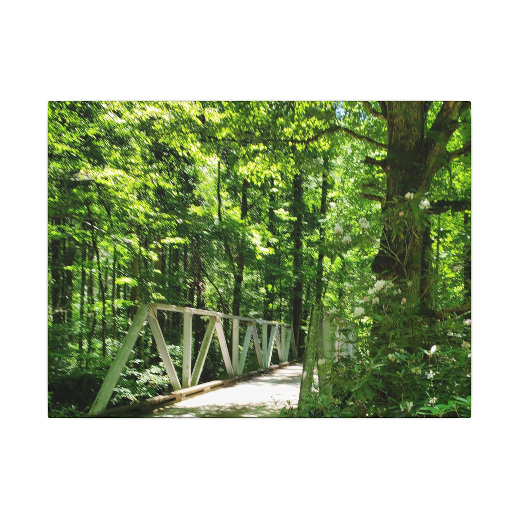Forest Bridge Canvas Wall Art — Green Woodland Trail Photography