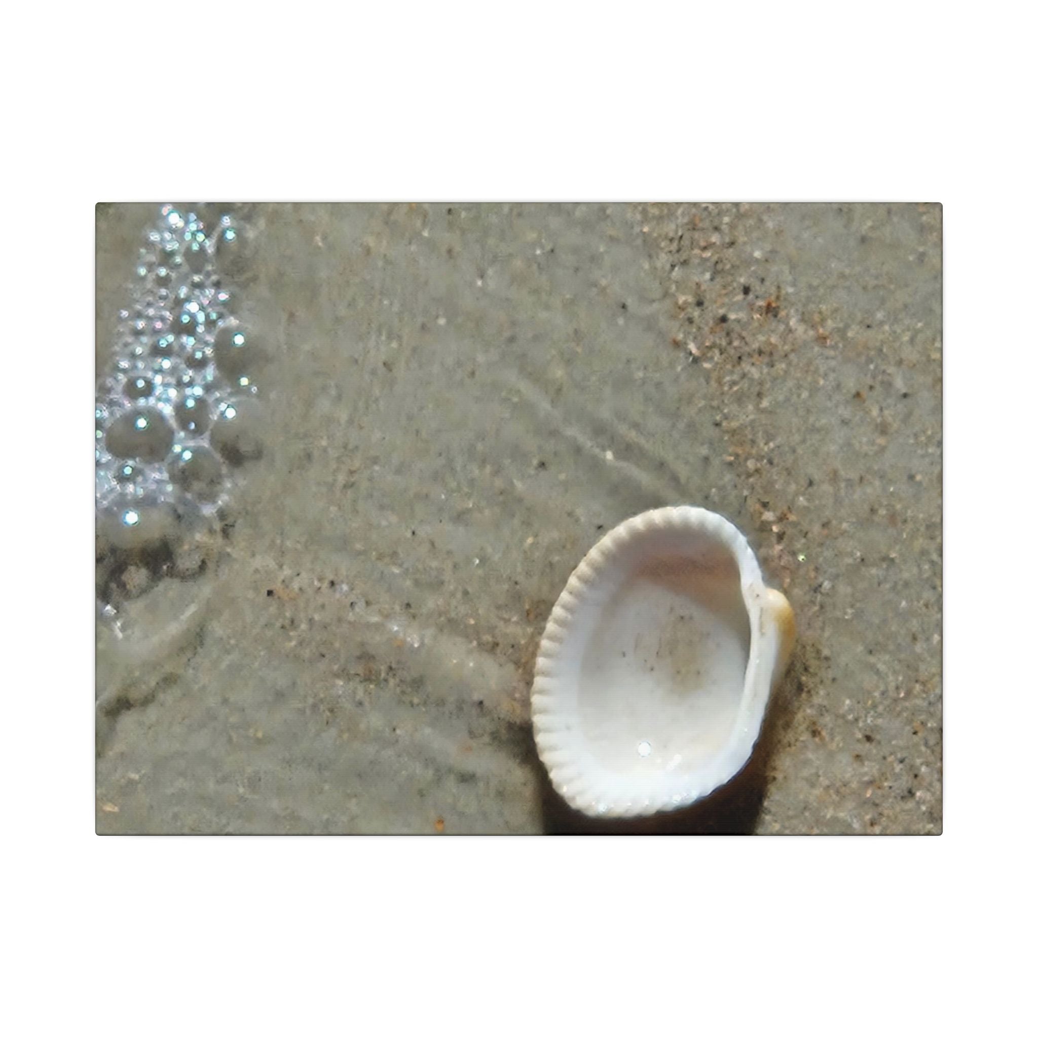 Seashell on Sand Matte Canvas Wall Art — Coastal Beach Photography Print
