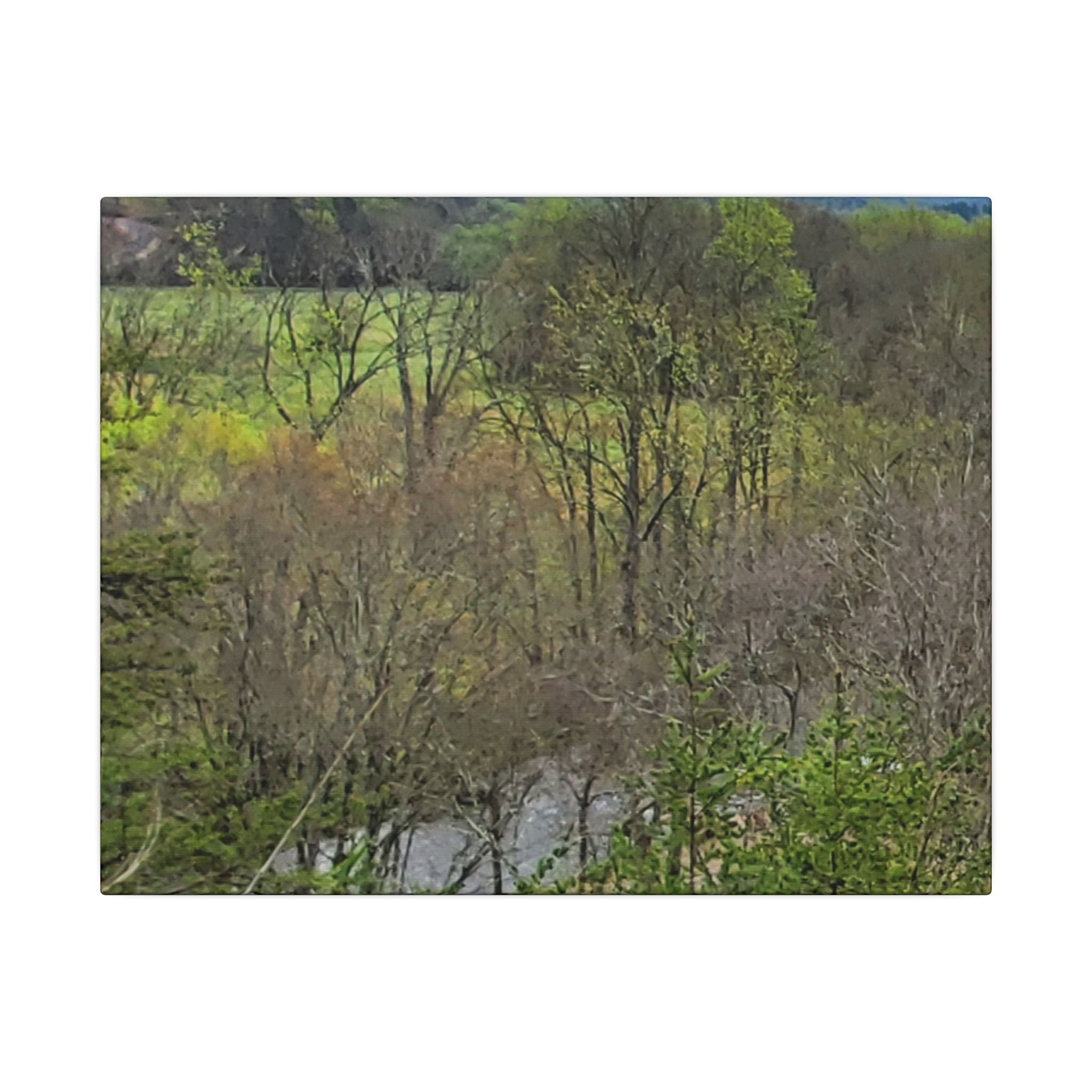 Matte Stretched Canvas Wall Art - Serene Green Woodland Landscape