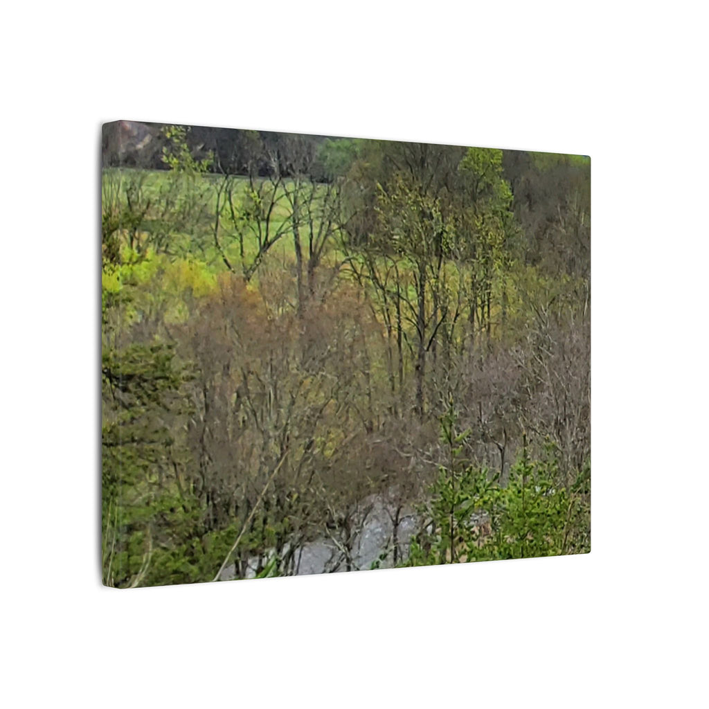 Matte Stretched Canvas Wall Art - Serene Green Woodland Landscape