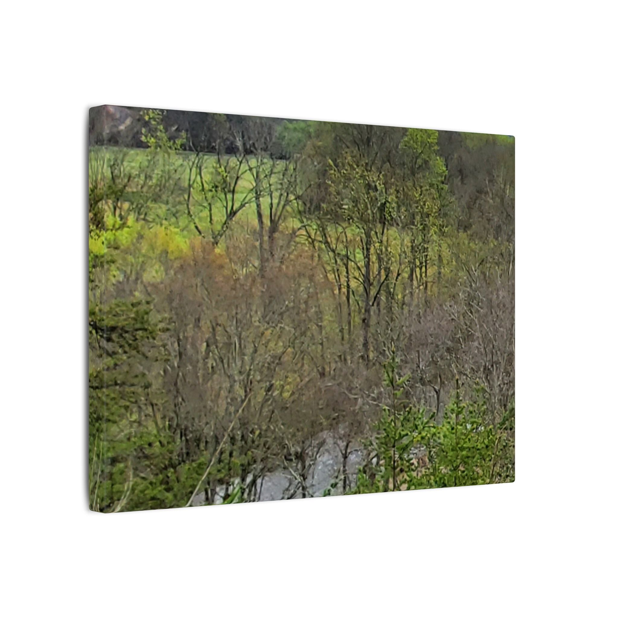 Matte Stretched Canvas Wall Art - Serene Green Woodland Landscape