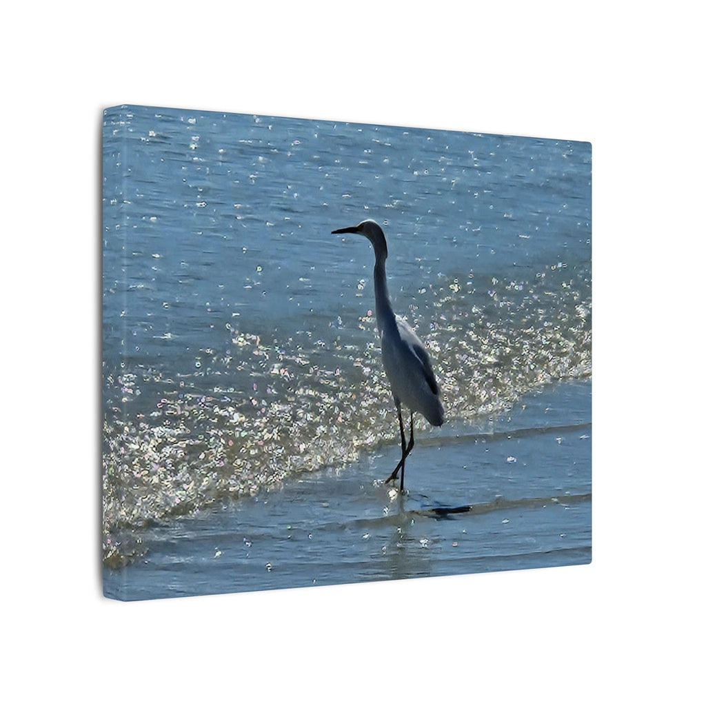 Egret on Shore Matte Stretched Canvas — Coastal Bird Wall Art