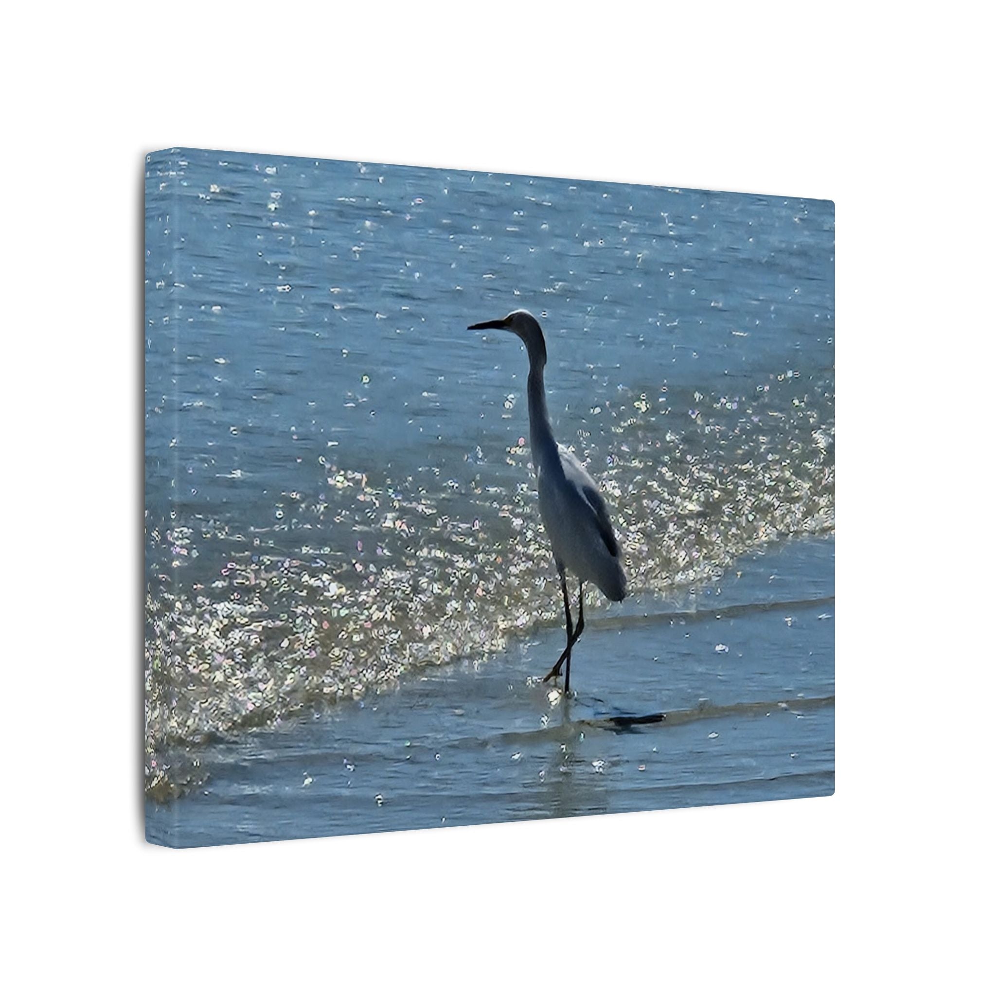 Egret on Shore Matte Stretched Canvas — Coastal Bird Wall Art