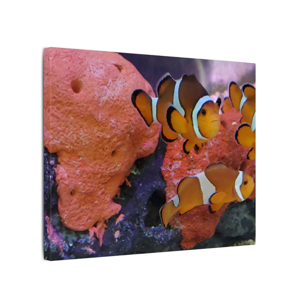 Clownfish Reef Matte Canvas Wall Art — Vibrant Ocean Photography Print
