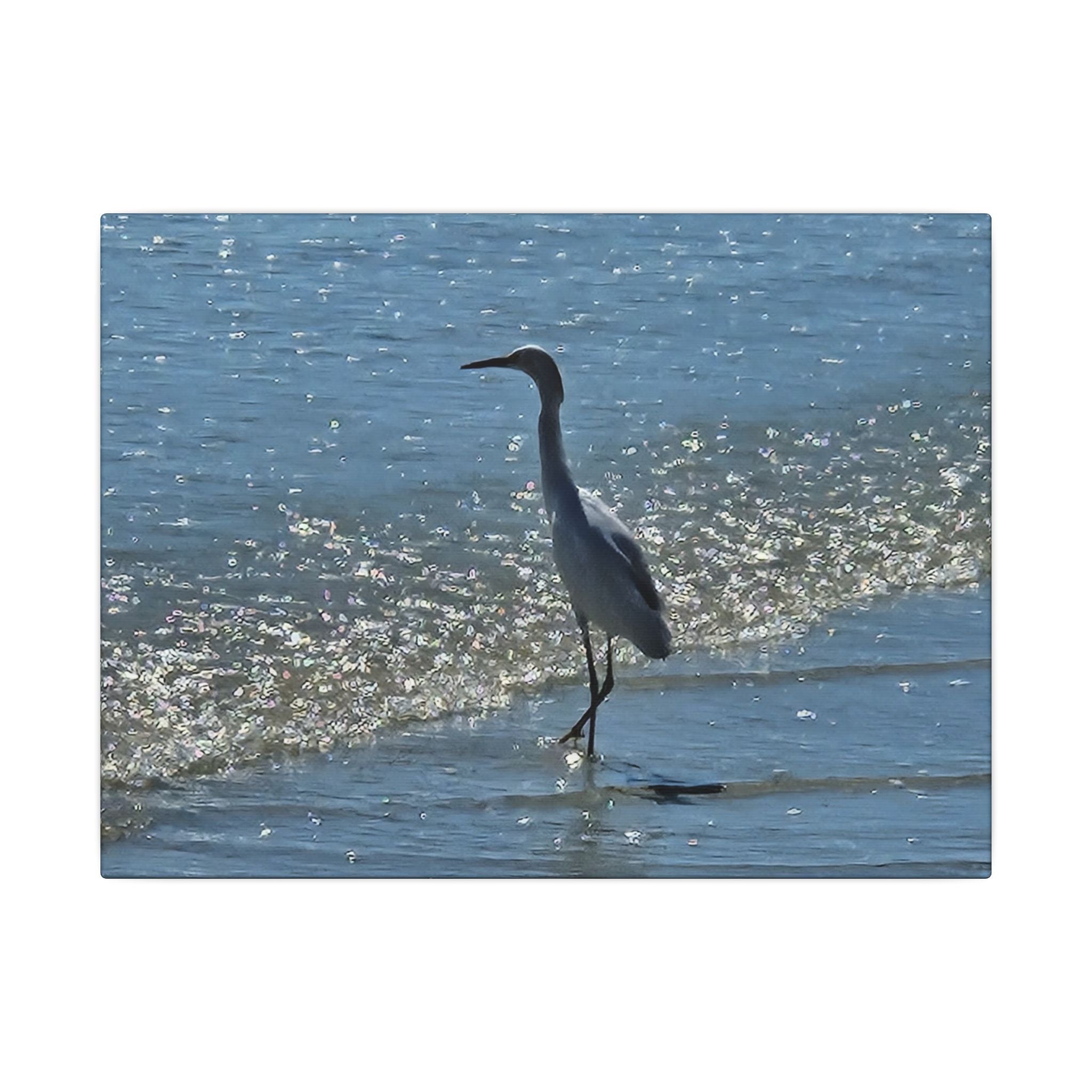 Egret on Shore Matte Stretched Canvas — Coastal Bird Wall Art