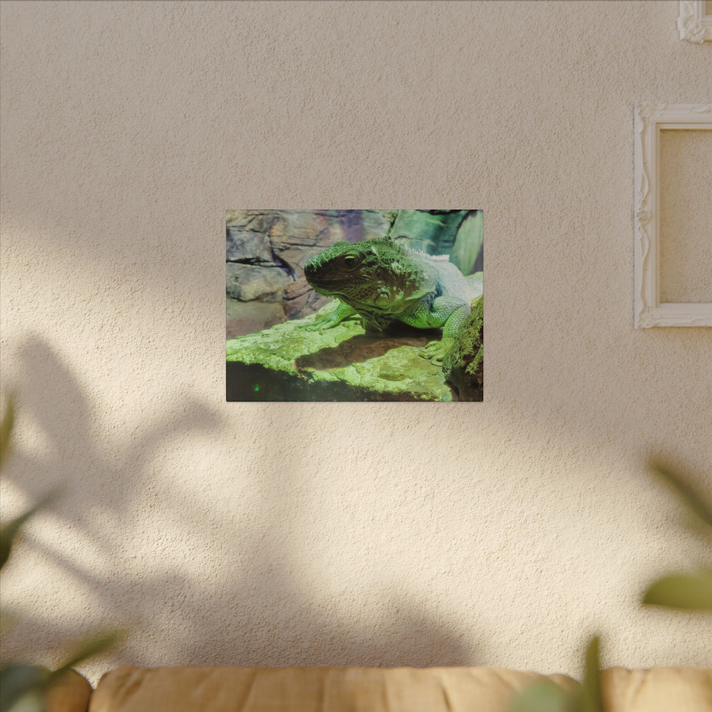 Green Iguana Reptile Wall Art Canvas – Wildlife Photo Matte Stretched Print