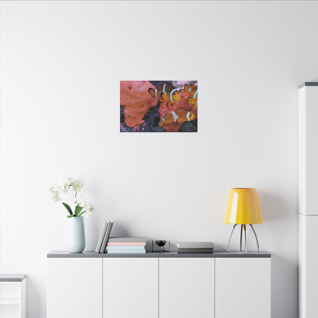 Clownfish Reef Matte Canvas Wall Art — Vibrant Ocean Photography Print