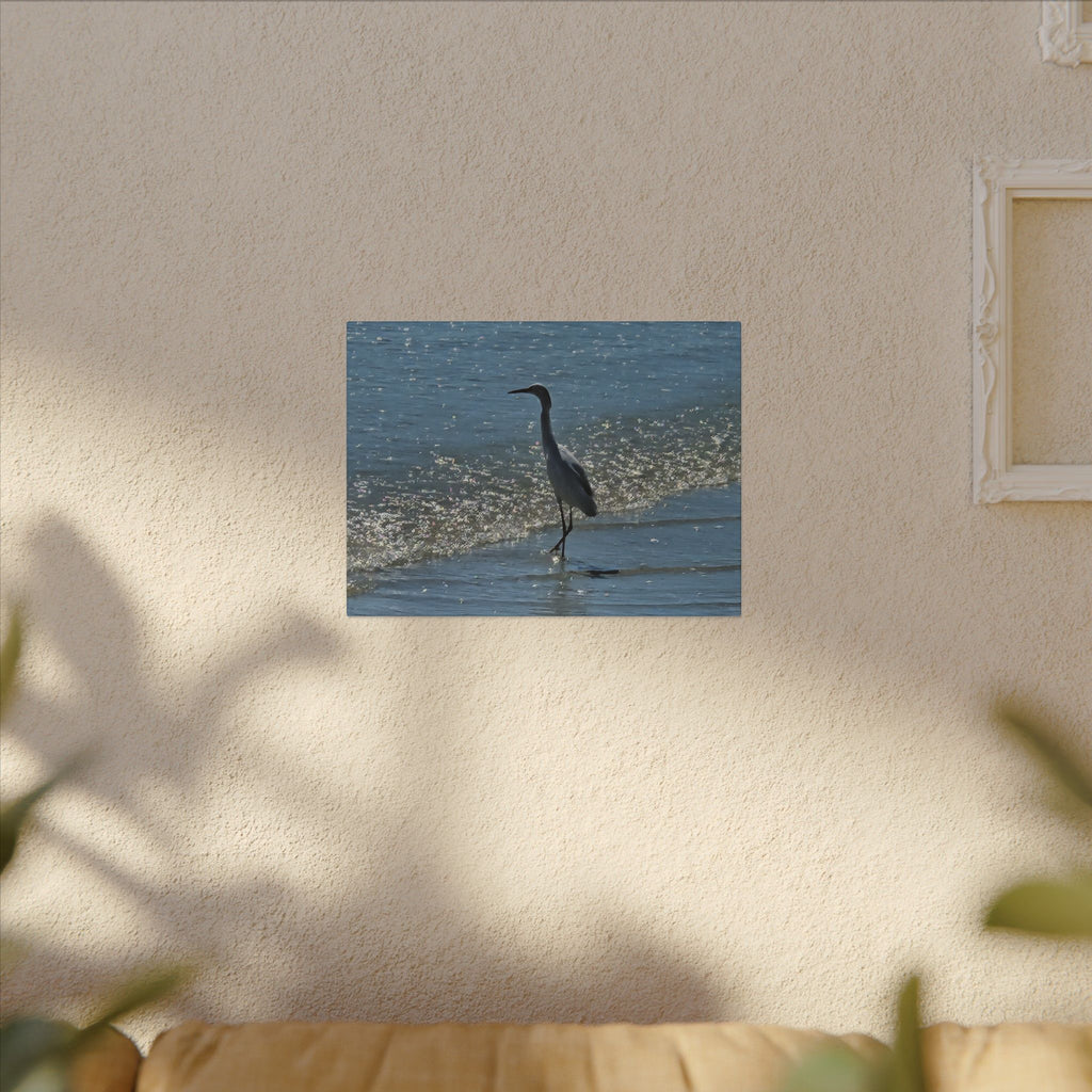 Egret on Shore Matte Stretched Canvas — Coastal Bird Wall Art