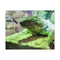 Green Iguana Reptile Wall Art Canvas – Wildlife Photo Matte Stretched Print