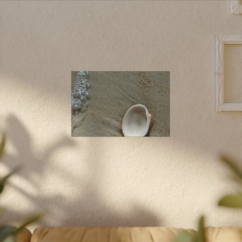 Seashell on Sand Matte Canvas Wall Art — Coastal Beach Photography Print