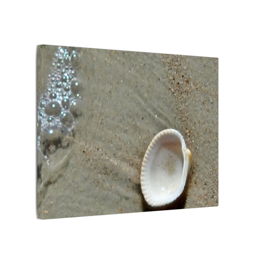 Seashell on Sand Matte Canvas Wall Art — Coastal Beach Photography Print