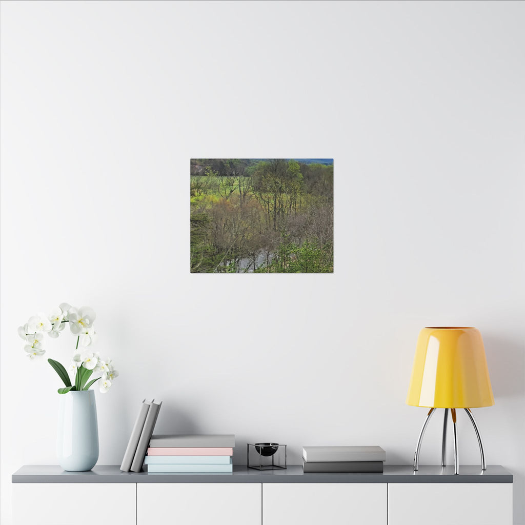 Matte Stretched Canvas Wall Art - Serene Green Woodland Landscape