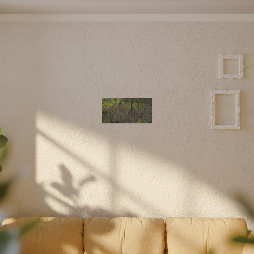 Matte Stretched Canvas Wall Art - Serene Green Woodland Landscape