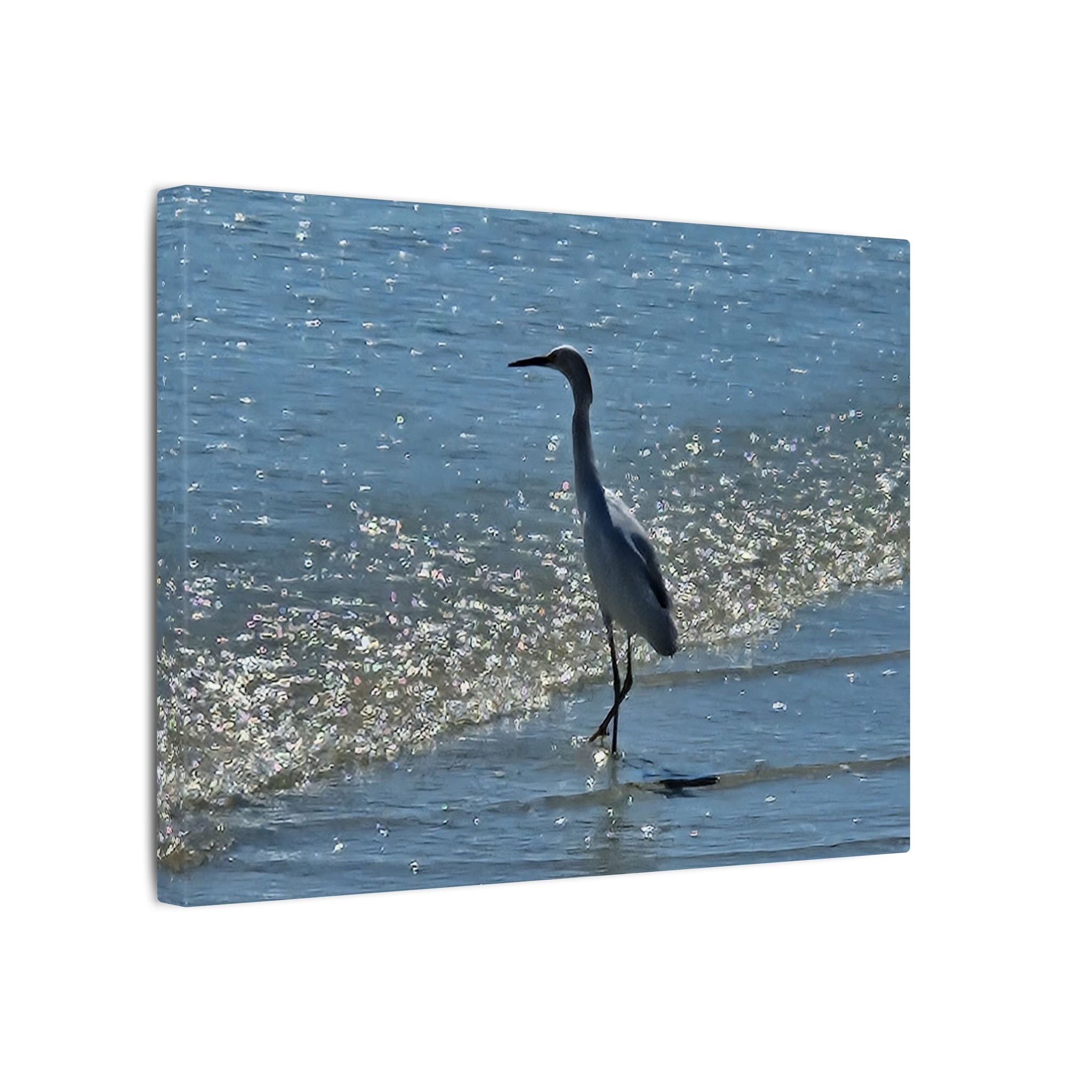 Egret on Shore Matte Stretched Canvas — Coastal Bird Wall Art