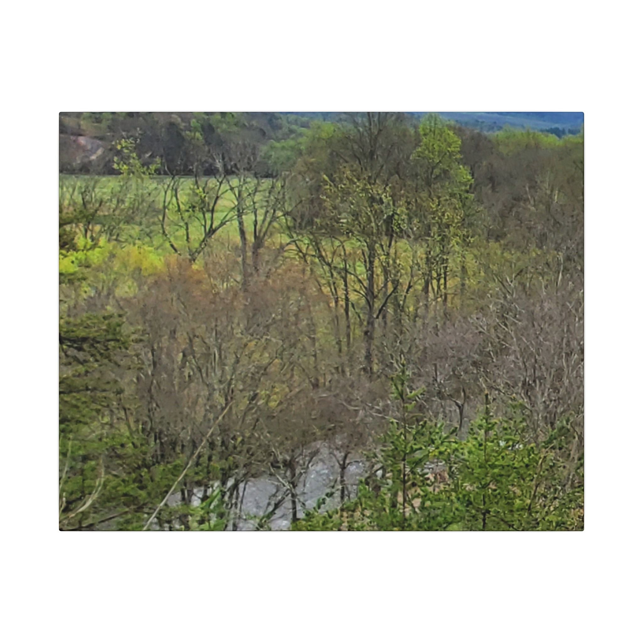 Matte Stretched Canvas Wall Art - Serene Green Woodland Landscape