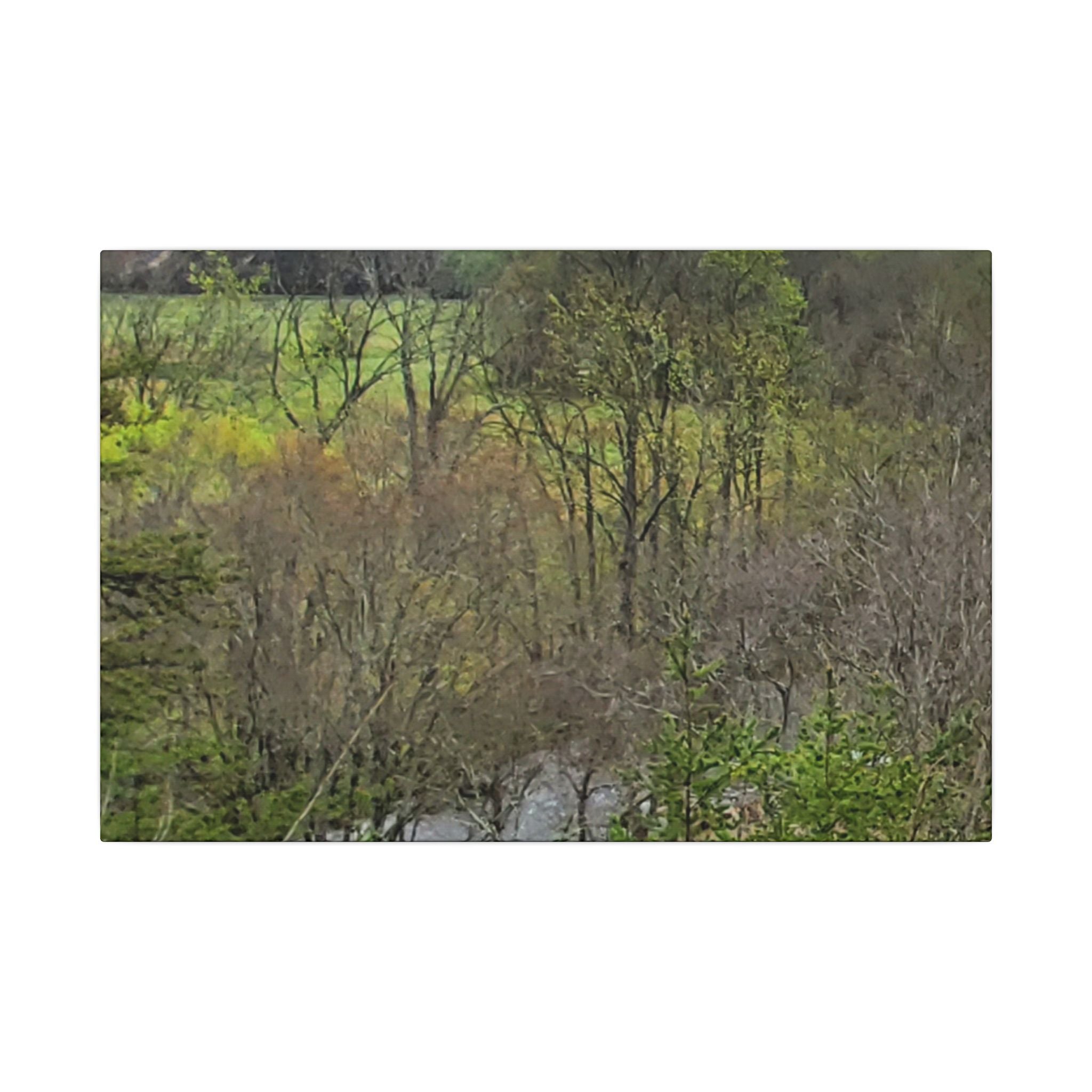 Matte Stretched Canvas Wall Art - Serene Green Woodland Landscape