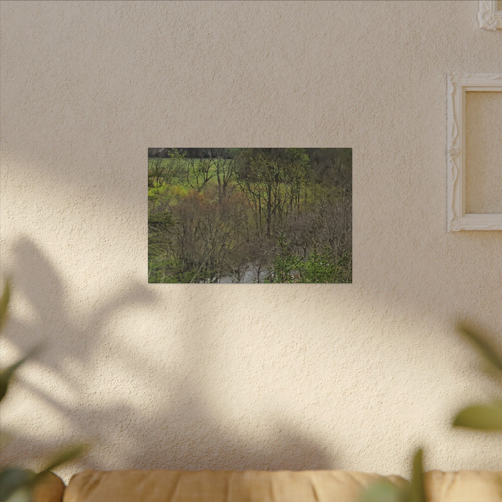 Matte Stretched Canvas Wall Art - Serene Green Woodland Landscape
