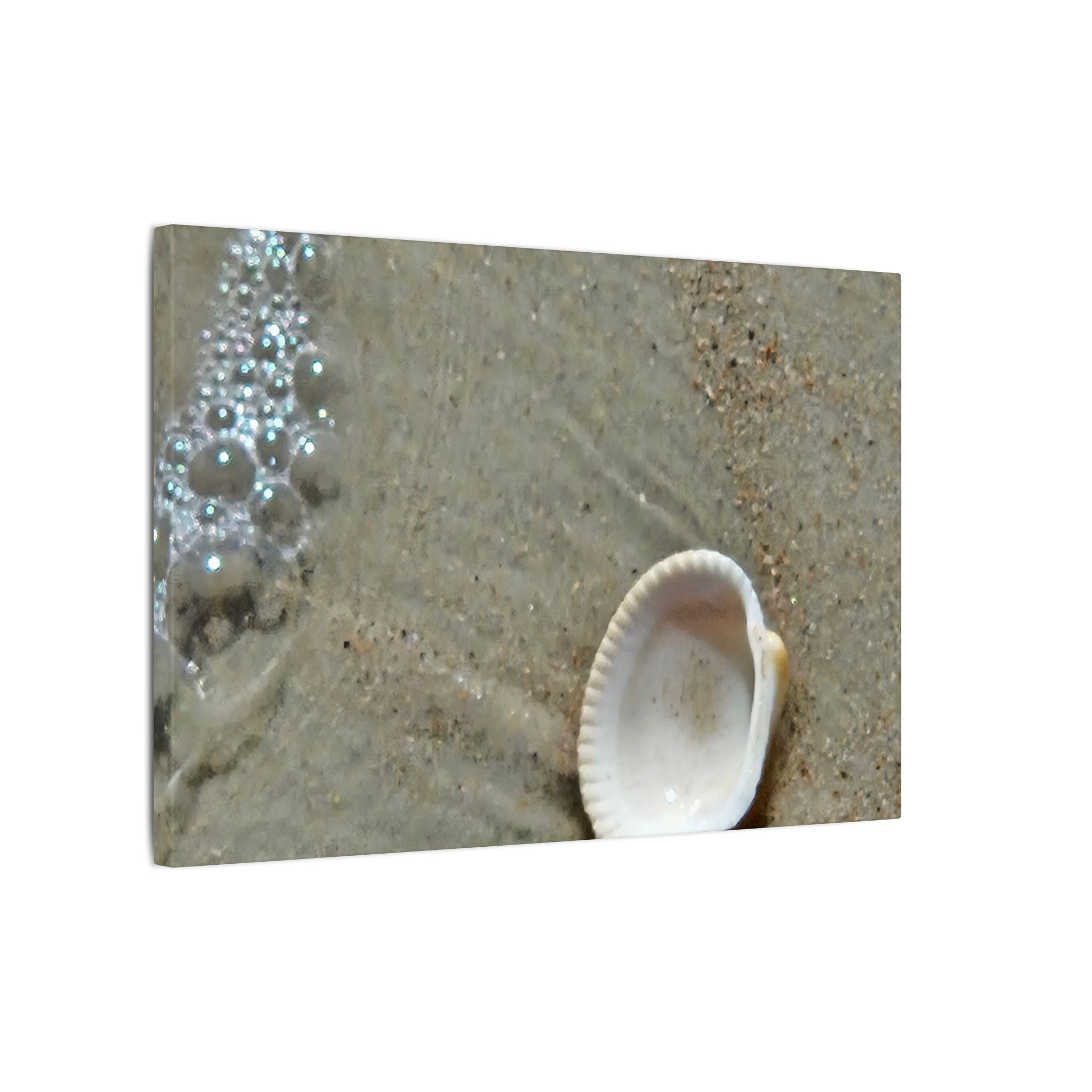 Seashell on Sand Matte Canvas Wall Art — Coastal Beach Photography Print
