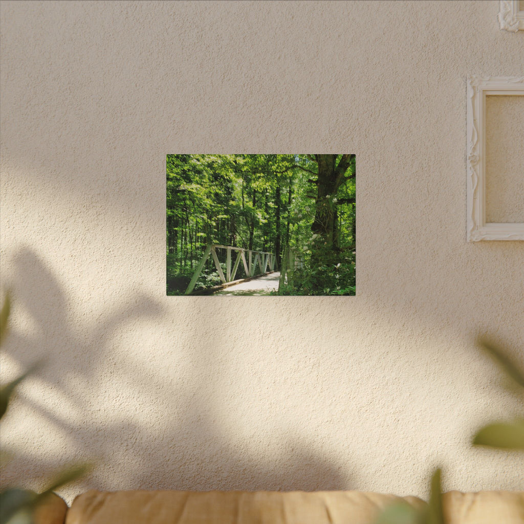 Forest Bridge Canvas Wall Art — Green Woodland Trail Photography