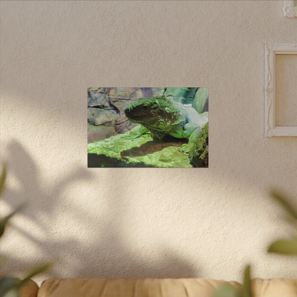 Green Iguana Reptile Wall Art Canvas – Wildlife Photo Matte Stretched Print