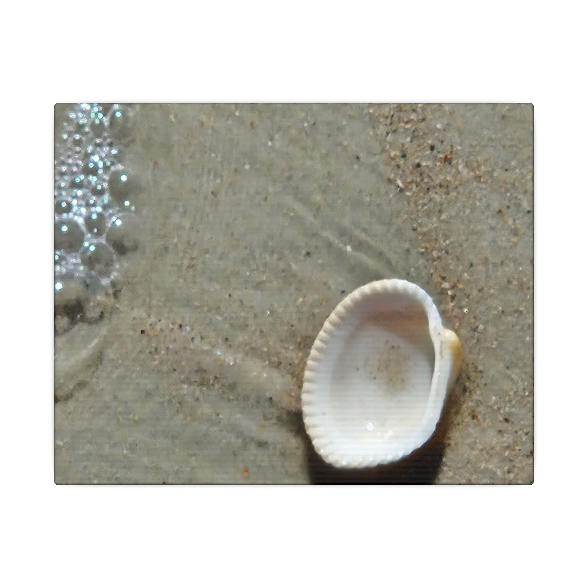 Seashell on Sand Matte Canvas Wall Art — Coastal Beach Photography Print