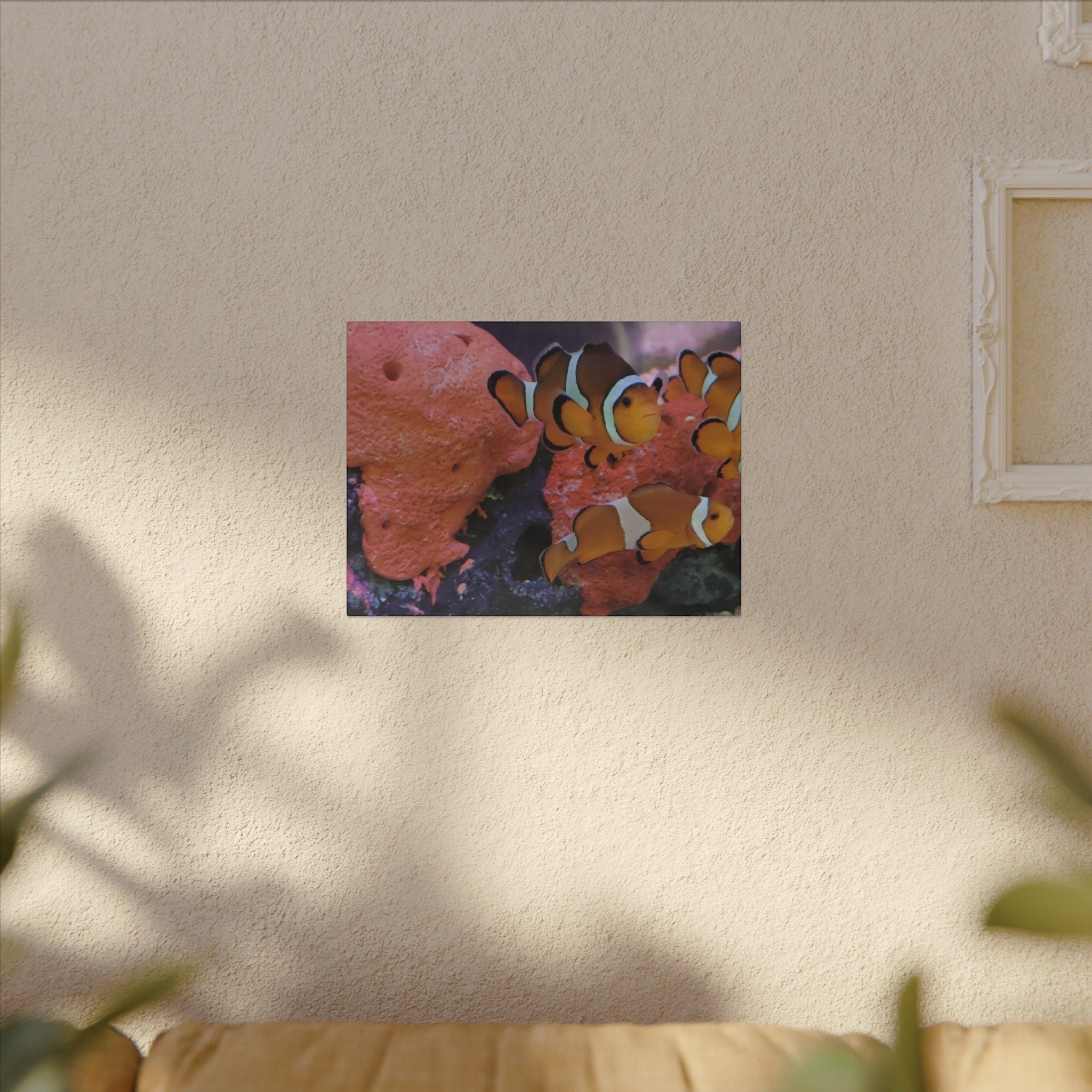 Clownfish Reef Matte Canvas Wall Art — Vibrant Ocean Photography Print